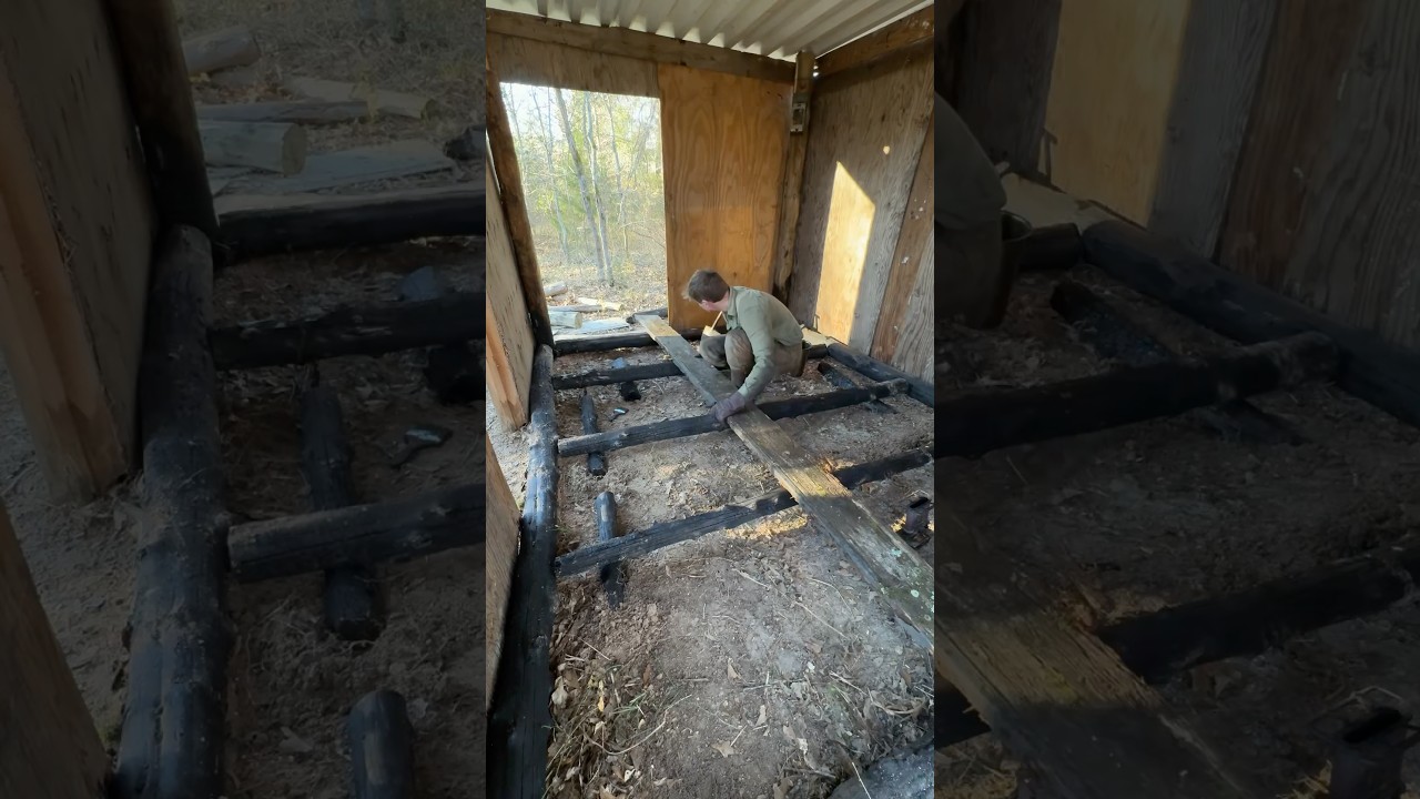 Update on the small Cabin! #cabin #cabinlife #outdoors #bushcraft #survival #woodcabin #cabinliving
