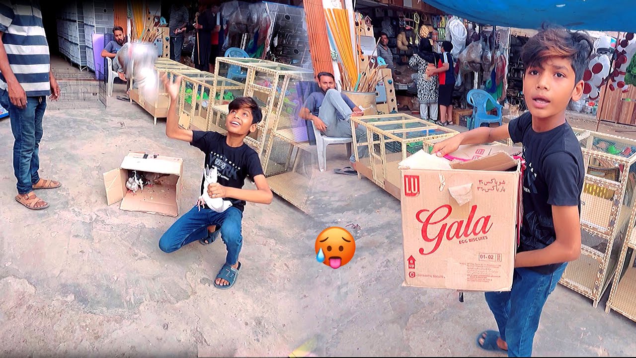 Market Mein Kabutar Khol Diye Azadi 😱