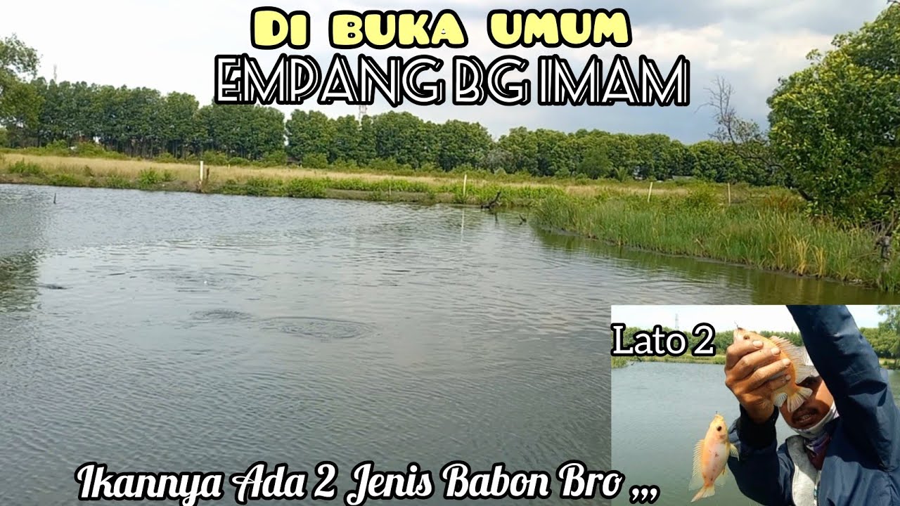 Info Spot Terbaru!!! Mancing Mujair Babon Dan Bandeng Empang Bg Imam Rusun Nagrak Marunda