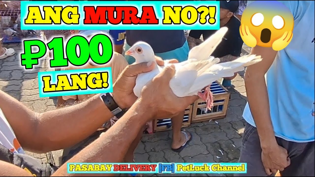 MURANG IBON SA HULONG DUHAT MALABON
