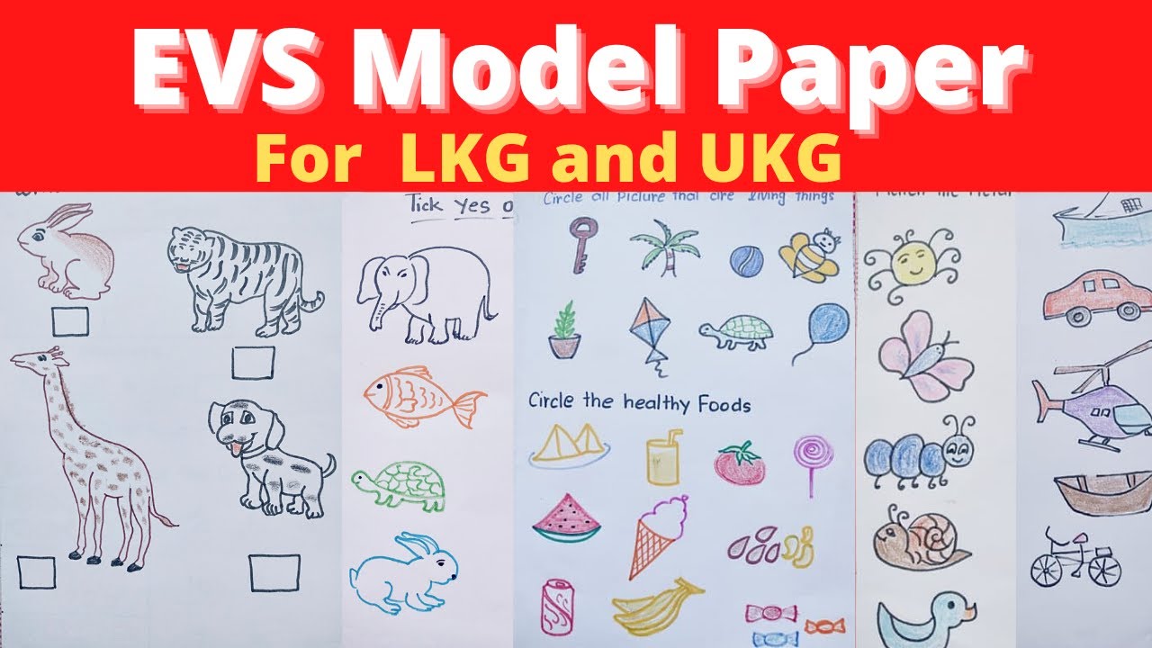 EVS Worksheets / EVS Worksheets for LKG/EVS Worksheets for Ukg/EVS Model Paper for LKG and UKG class