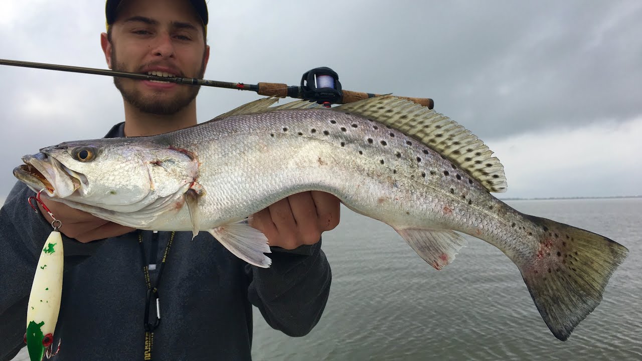 2 Hours Catching BIG Speckled Trout!