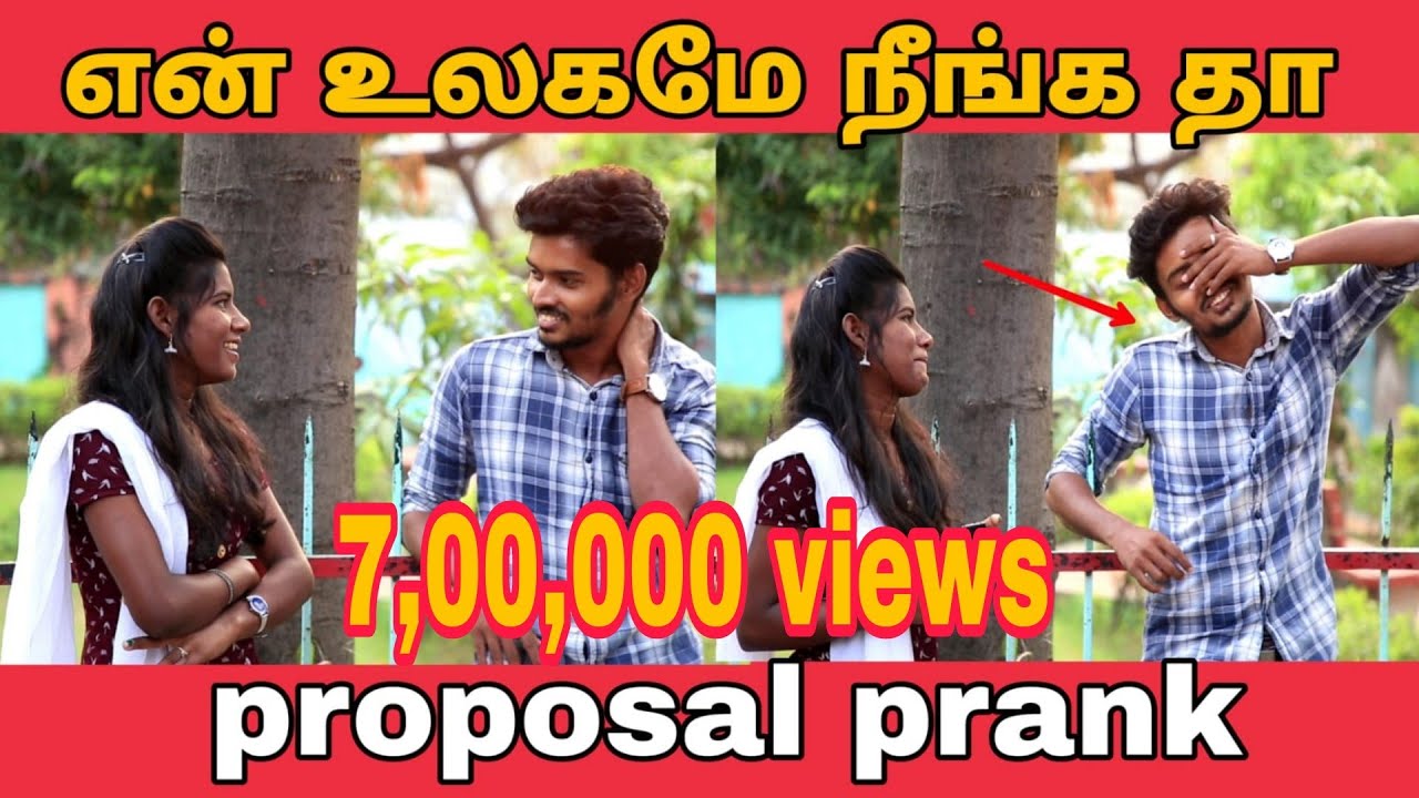 Love Proposal Prank | Love Prank | Flirting Prank | Mathwin Prank | Ms Starlight 1456