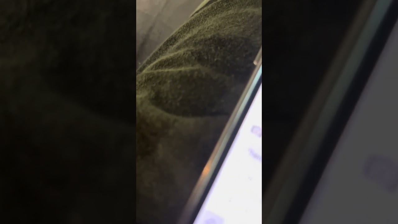 No Replacements Found