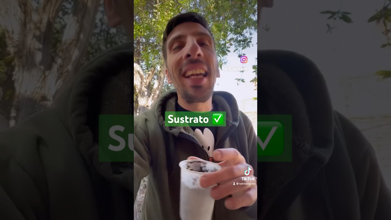 Germinaci&oacute;n - Sustrato (nunca tierra com&uacute;n)