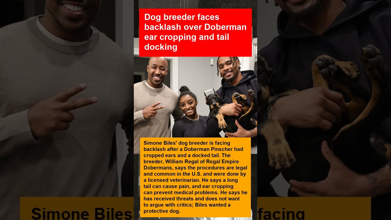Dog breeder faces backlash over Doberman ear cropping and tail docking