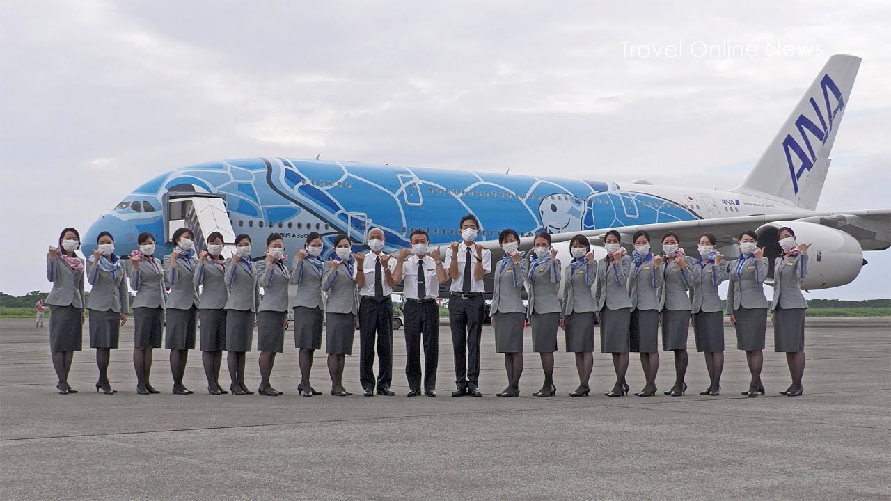 ANA A380 フライングホヌ 下地島空港に到着