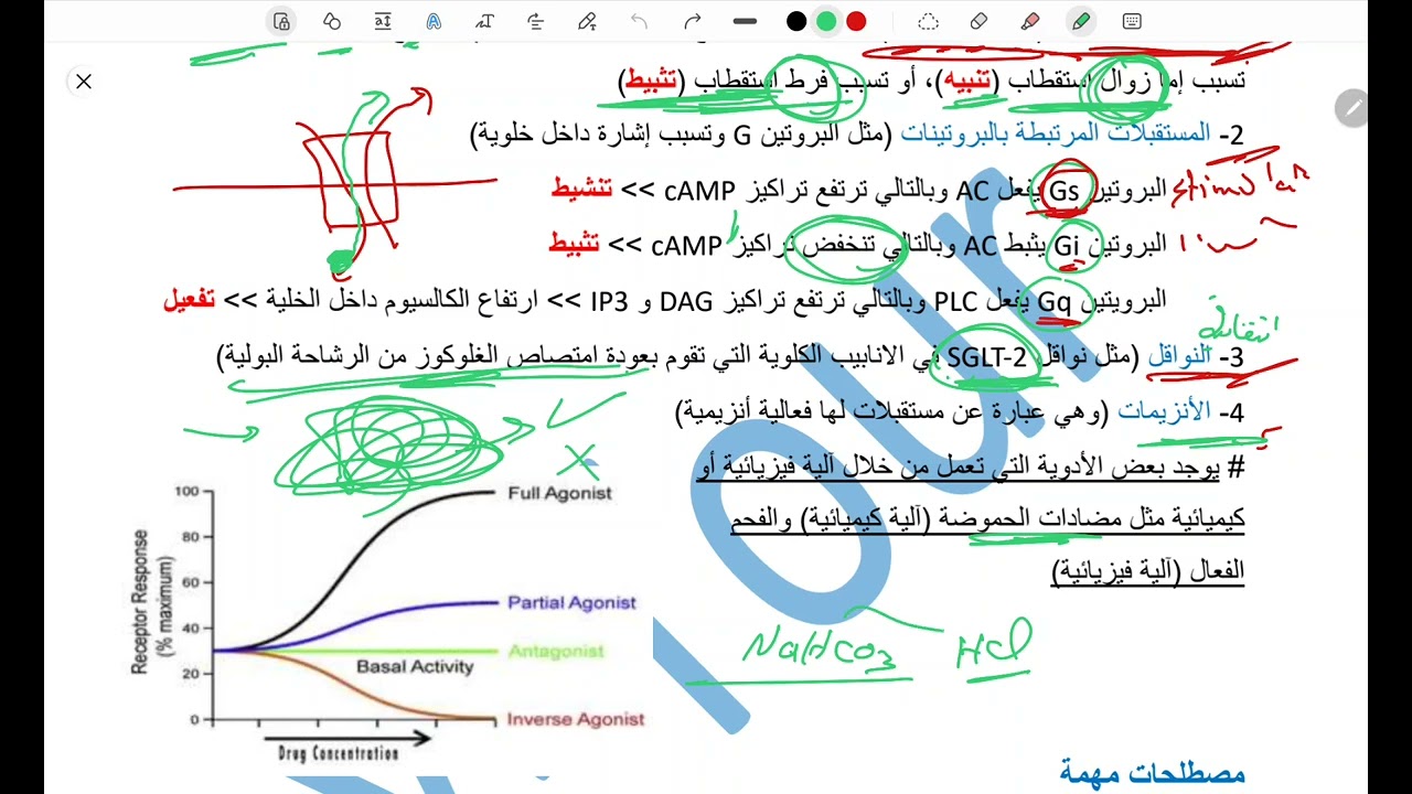 وطني الصيدلة المحاضرة الأولى الأصعب و التأسيسية لفهمك المحاضرات القادمة SY-Tour