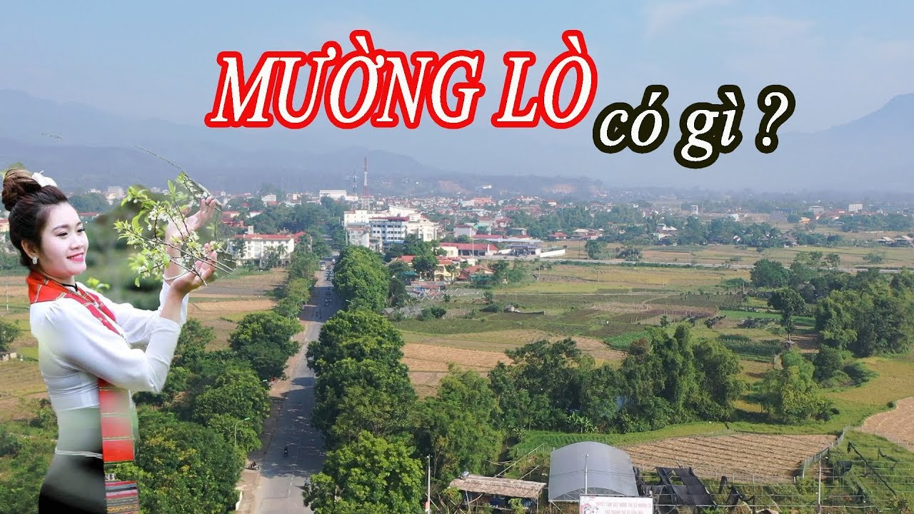 KHÁM PHÁ TOÀN CẢNH CÁNH ĐỒNG MƯỜNG LÒ - THỊ XÃ NGHĨA LỘ - YÊN BÁI | GÁI BẢN