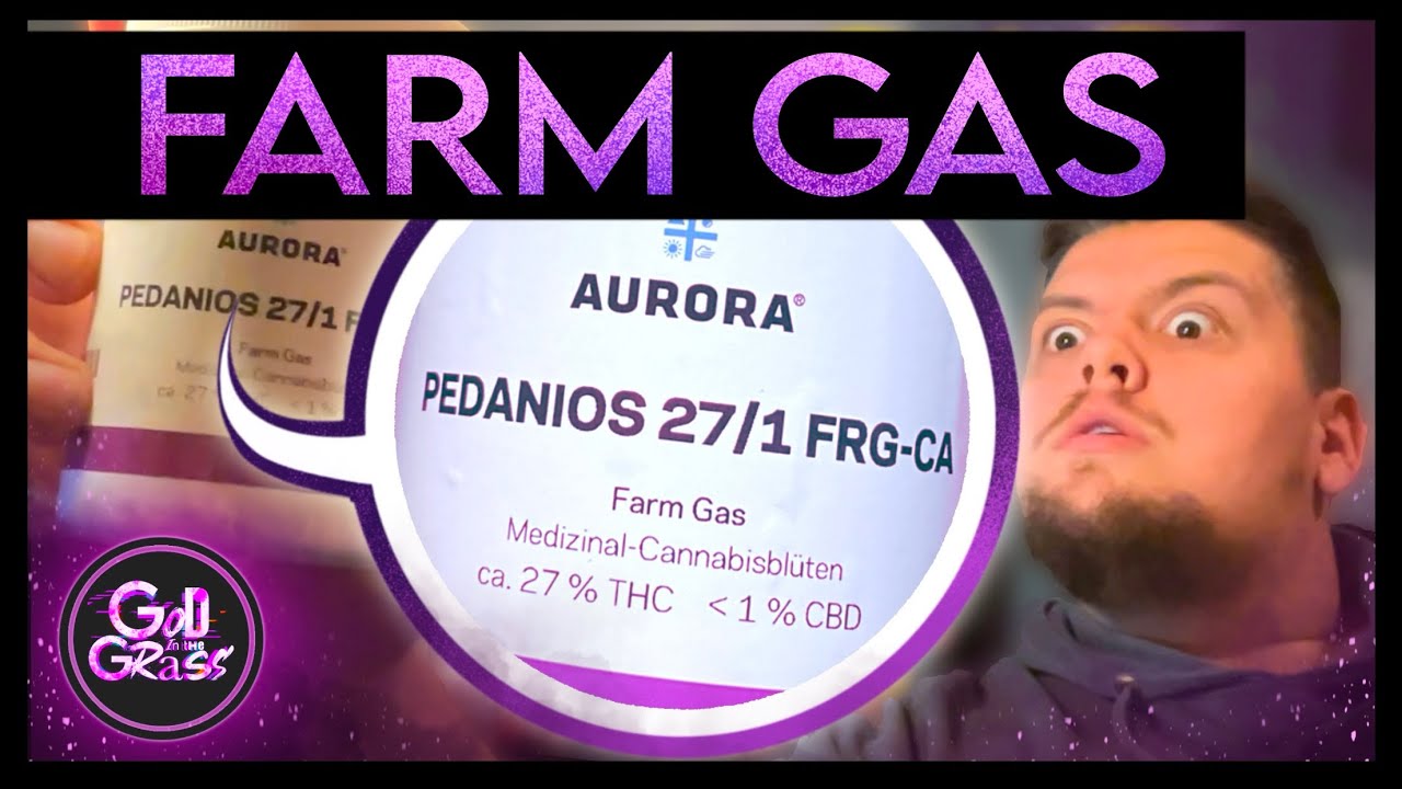 Aurora Farm Gas - Medical Cannabis 🌱 Review