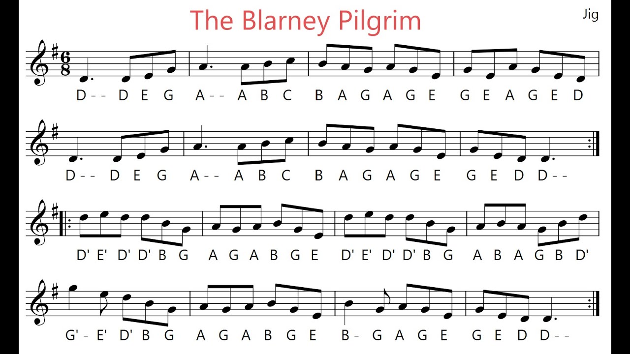 The Blarney Pilgrim - Jig
