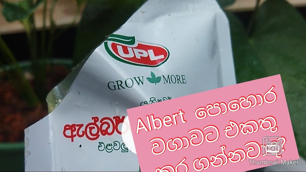 Albert පොහොර ඔයාගේ වගාවට එකතු කර ගන්නවාද?.