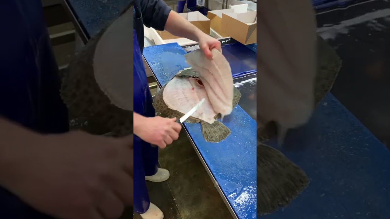 Turbot ! The finest  tasting fish in the sea . 