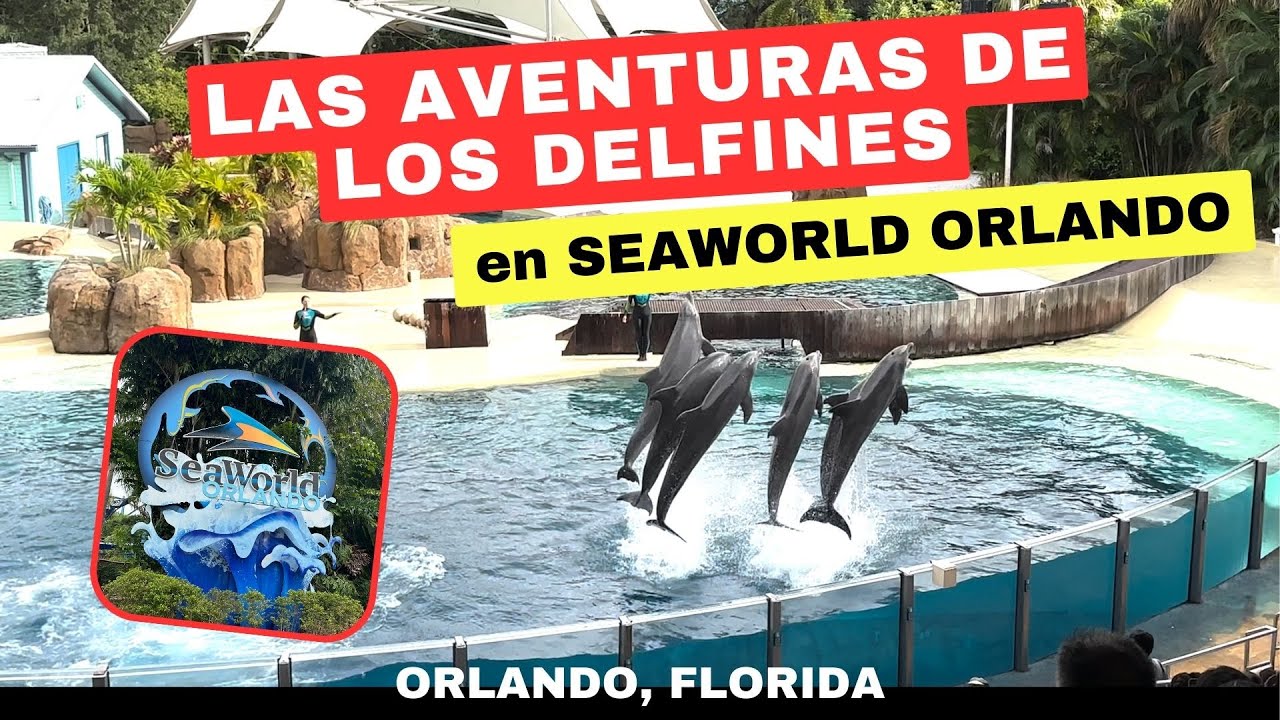 SEAWORLD ORLANDO (EL MUNDO MARINO DE ORLANDO) EN FLORIDA. SHOW DE LAS AVENTURAS DE LOS DELFINES