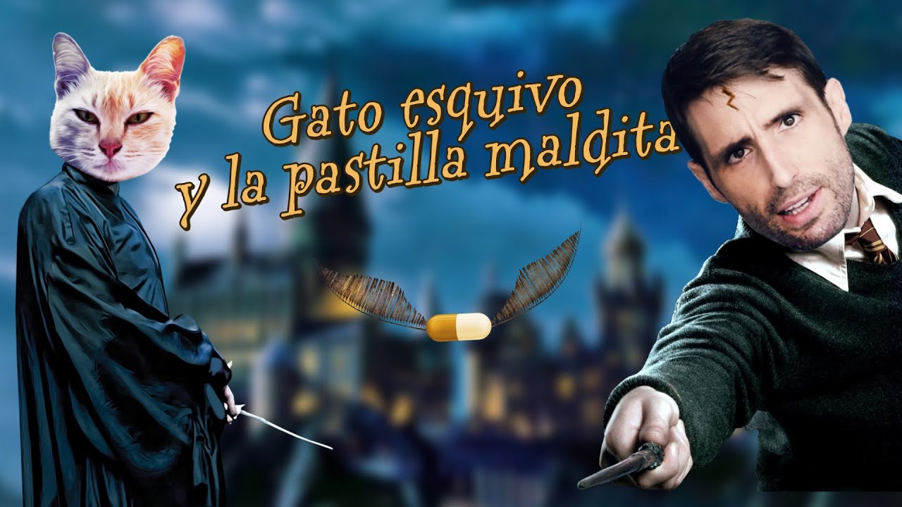 Cómo darle una PASTILLA a tu GATO y sobrevivir al intento 😾💊✨🤓  Trucos de un veterinario de Hogwarts
