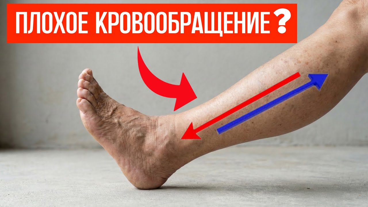 ЕДИНСТВЕННЫЕ 3 упражнения, которые вам НУЖНЫ для улучшения кровообращения в ногах в 2026 году