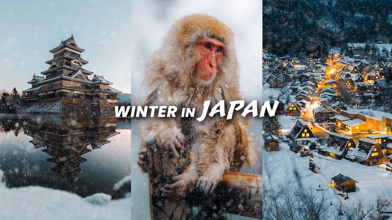 Winter in Japan: Capturing EPIC Winter Landscapes!