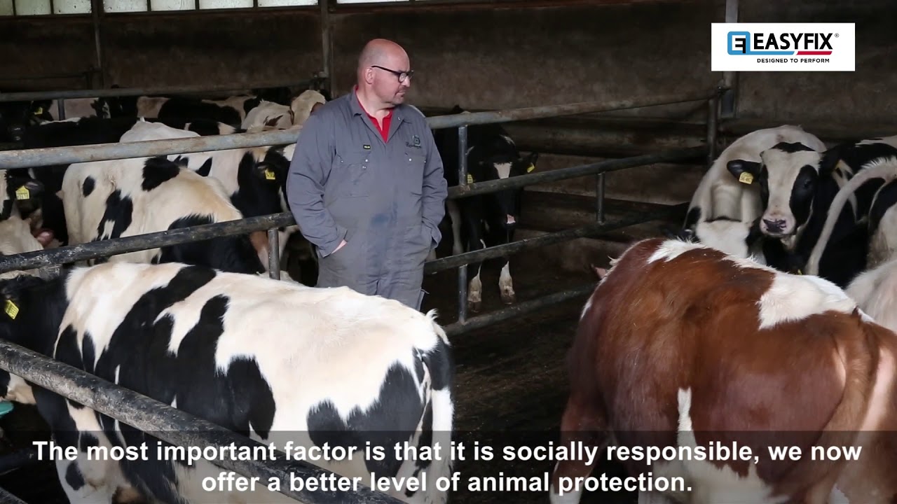 Hans & Marloes Luijerink | Welfare-friendly Stable Floors for Veal Calves