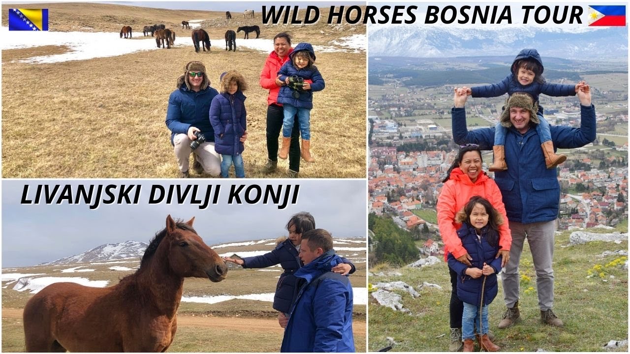 Divlji konji u Livnu | Wild horses tour in Livno, Bosnia and Herzegovina | Plus city tour  of Livno