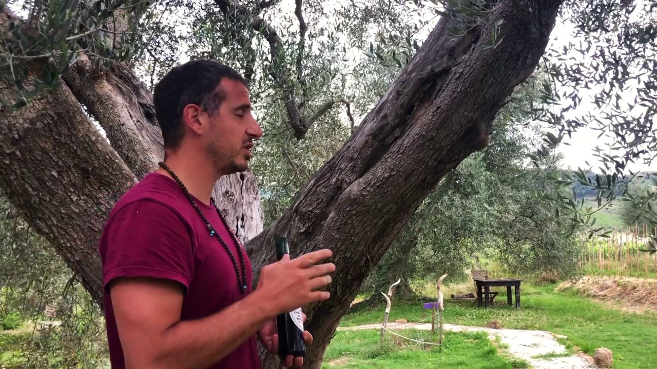Podere Le Ripi's Extra Virgin Olive Oil
