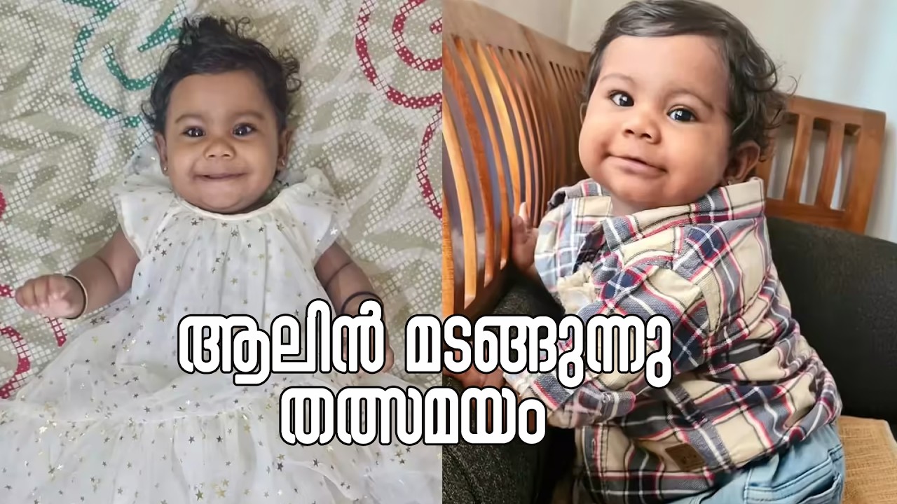 ആലിന്‍ മടങ്ങുന്നു തത്സമയം  | VOX LIVE