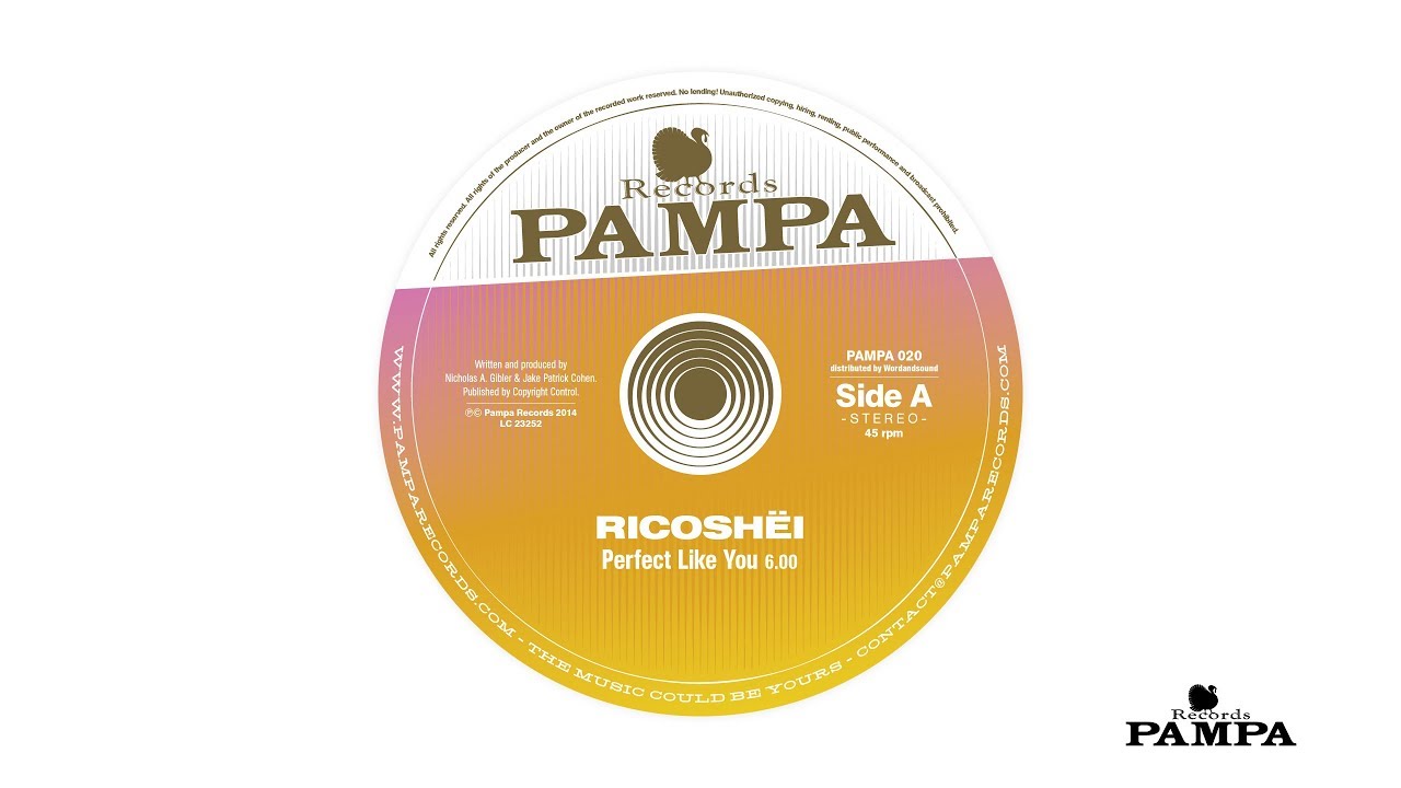 Ricosh&euml;i - Perfect like you (PAMPA020)