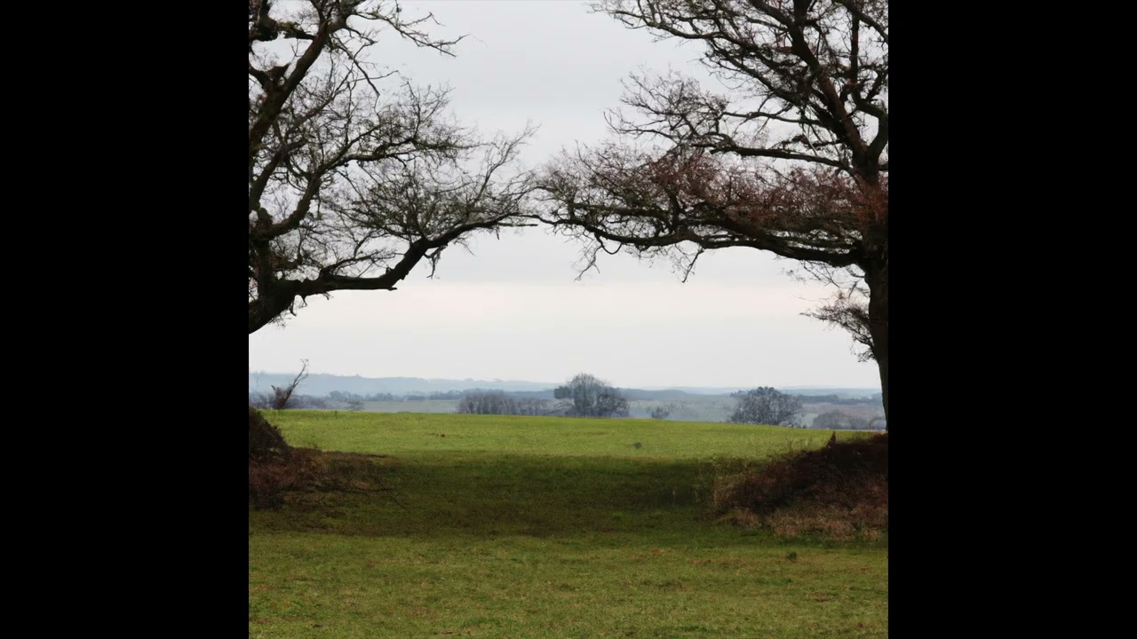 Parting Is Such Sweet Sorrow - Echo Anthem