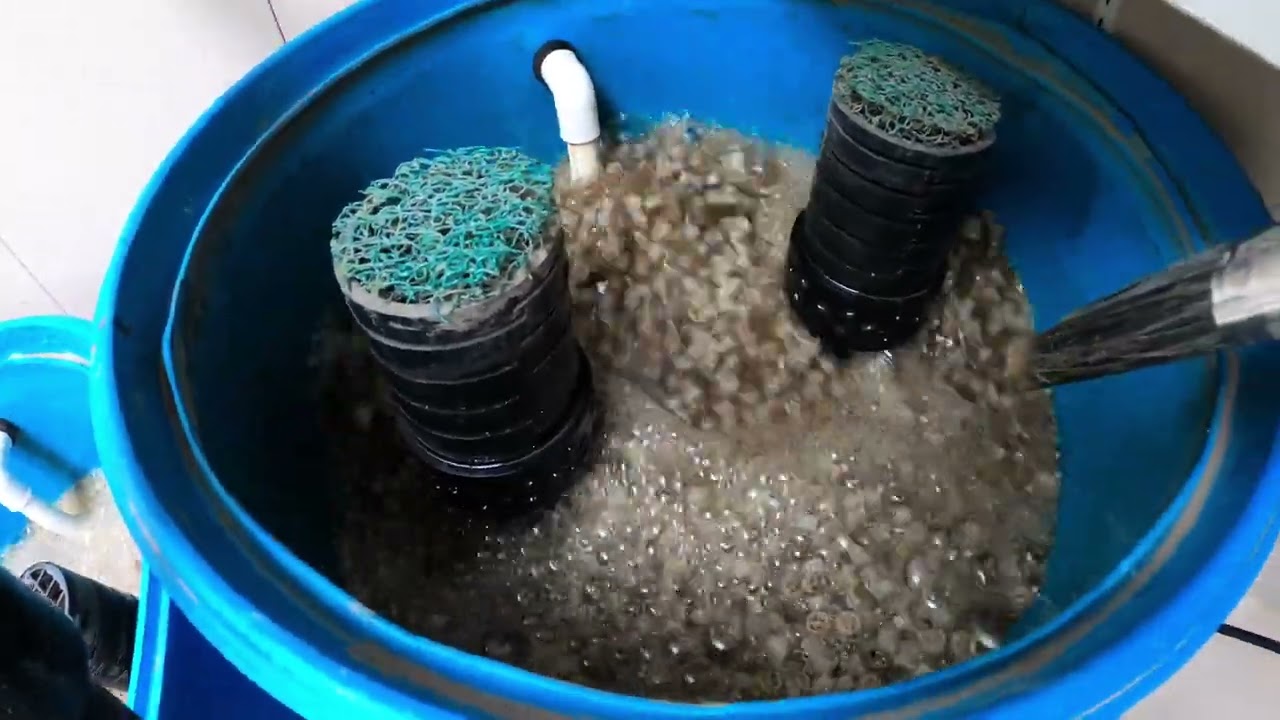 DIY Koi Pond Upgrade 2023 - New Trick on 3-Barrel Filter System Cleaning