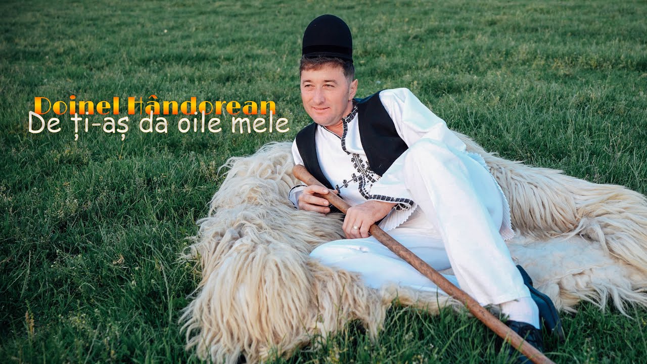 Doinel Hândorean - De ți-aș da oile mele