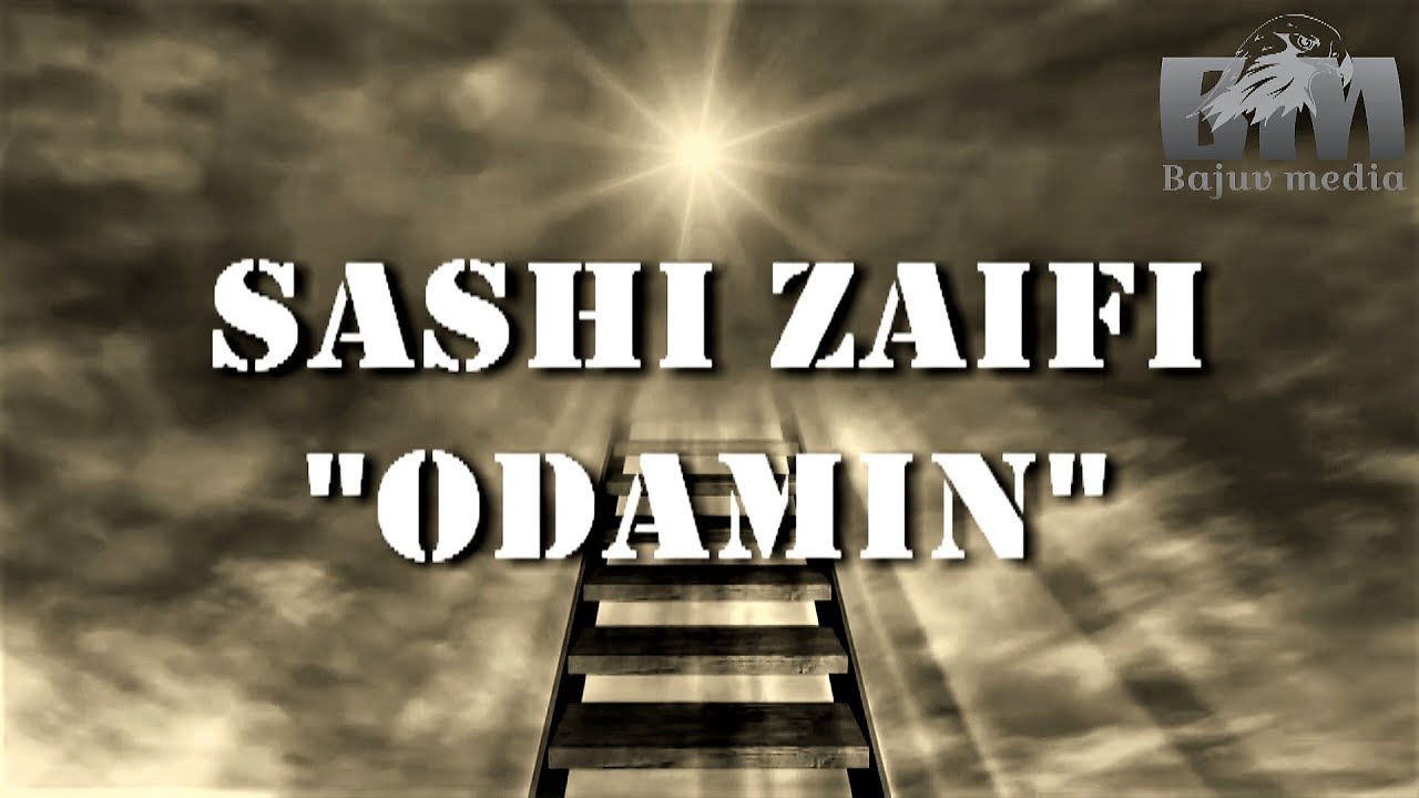 Sashi Zaifi    