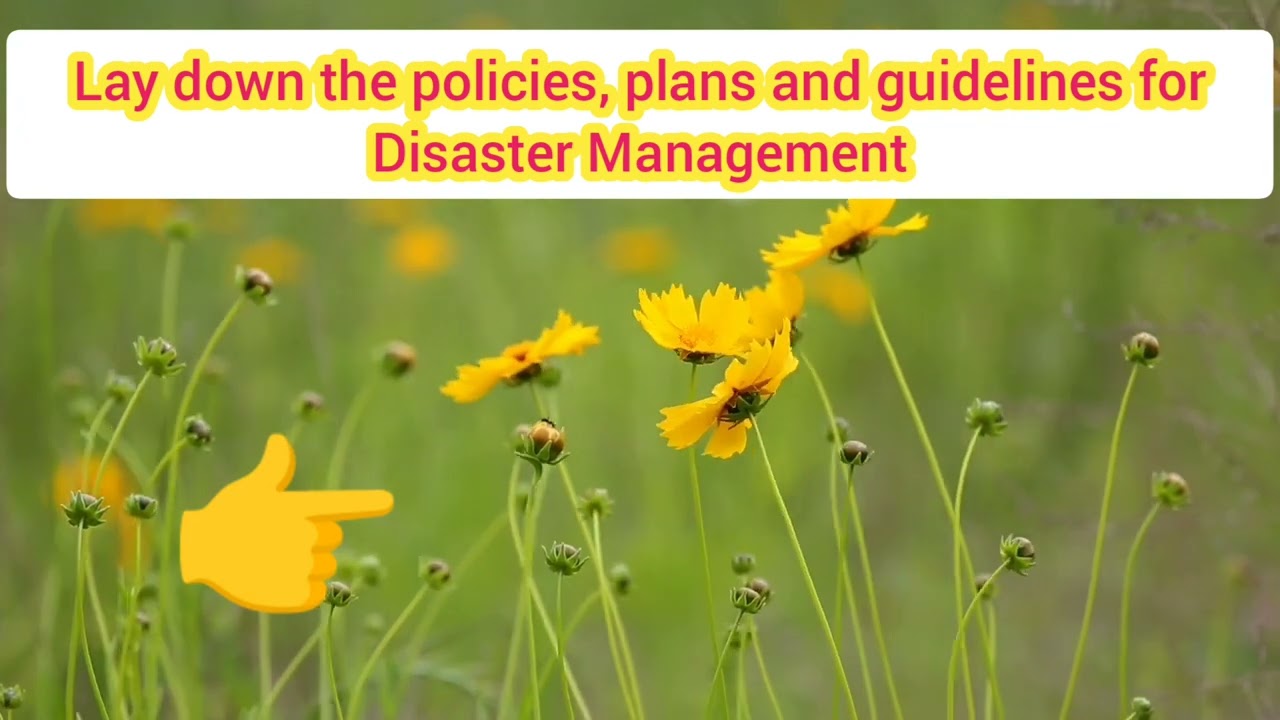 Glimpse of National Disaster Management Authority (NDMA)