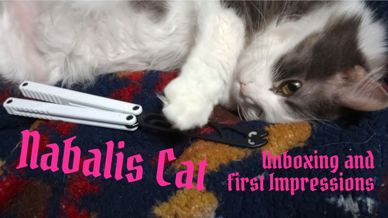 Nabalis Cat Unboxing & First Impressions 