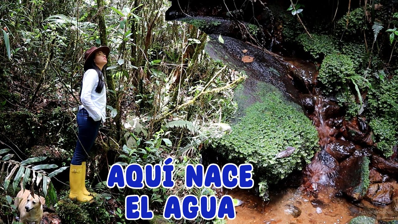 DÓNDE NACE EL AGUA DE LA FINCA: Recorrido por un BOSQUE VIRGEN │Candy Bu