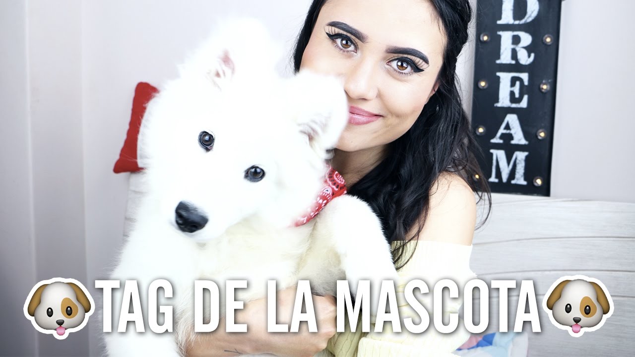 TAG DE LA MASCOTA | Paulettee