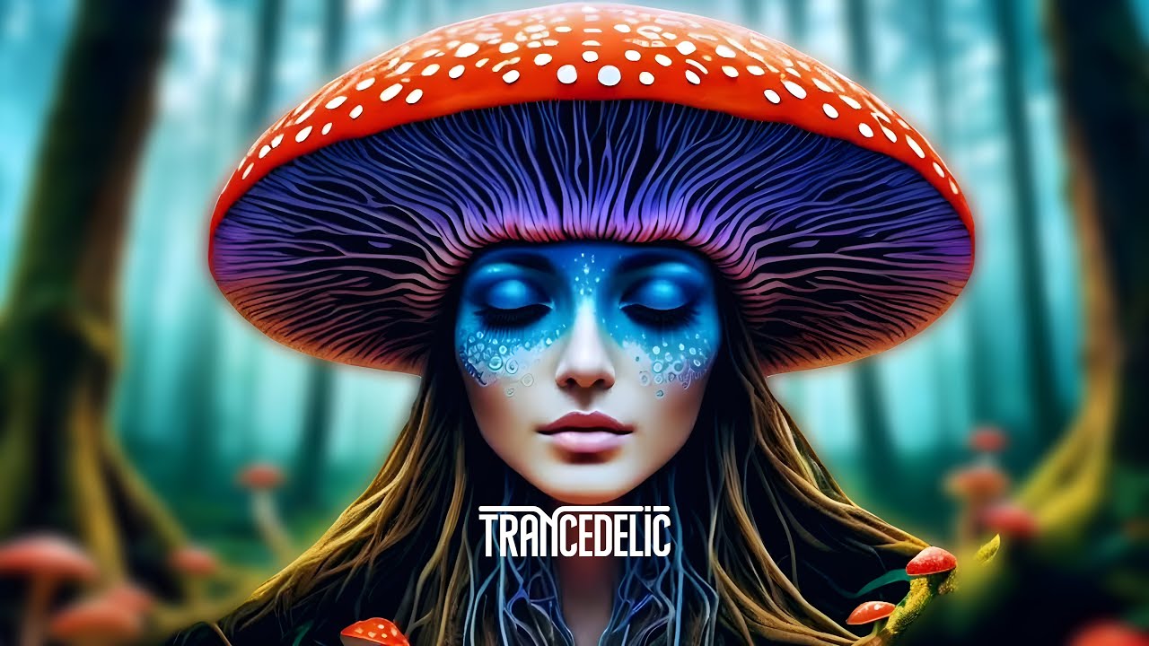 Astrix - Infected Mushrooms - Morten Granau ◉ Psychedelic Woods ◉ Mixed by EJ