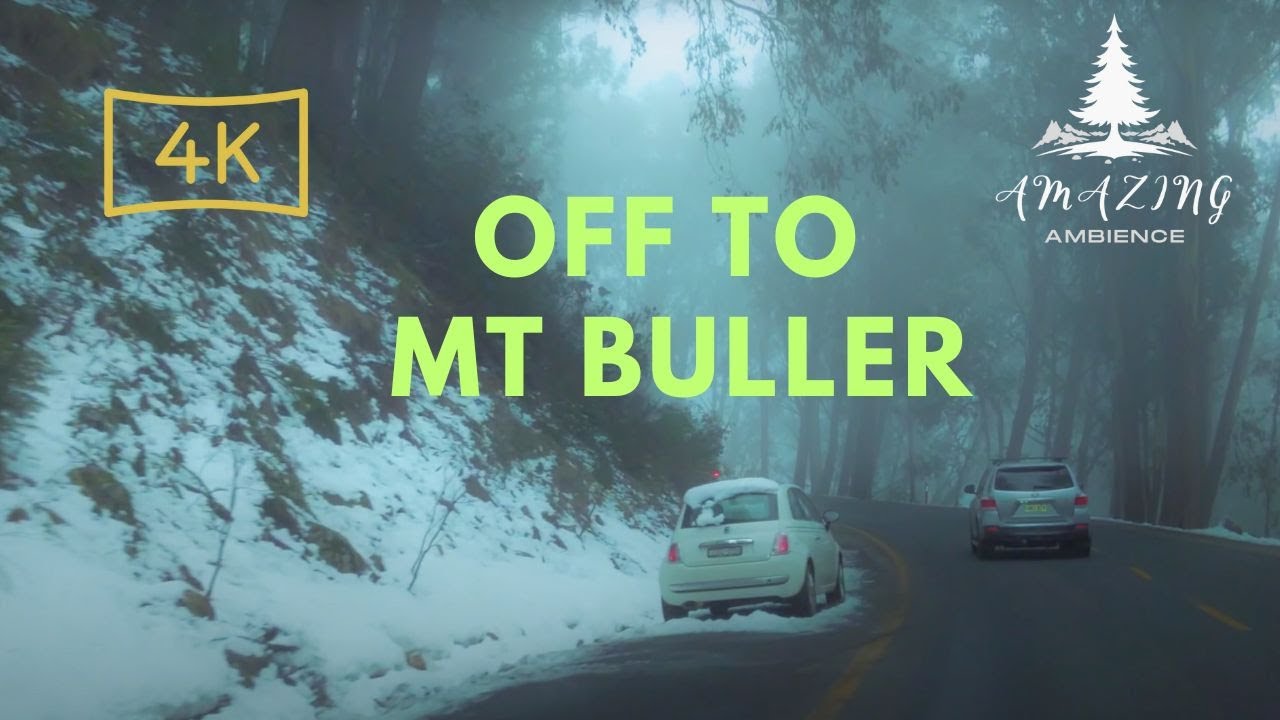 Drive from Taylor Bay to Mt Buller |  4K Video | #melbourne