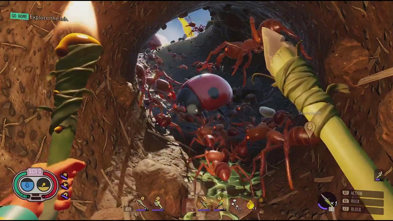The Great Red Ant Massacre Of 2025