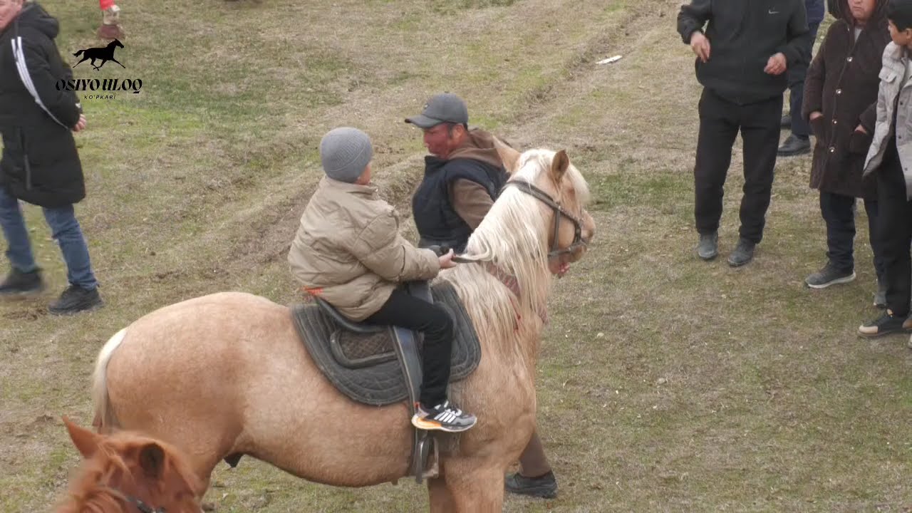 Oqoqrgon Sabxoz  Dilshod Akani O'g'ilari Dilbek Diyorbek Shaxriyorlarga Atalgan Kopkari 08.02.2026.