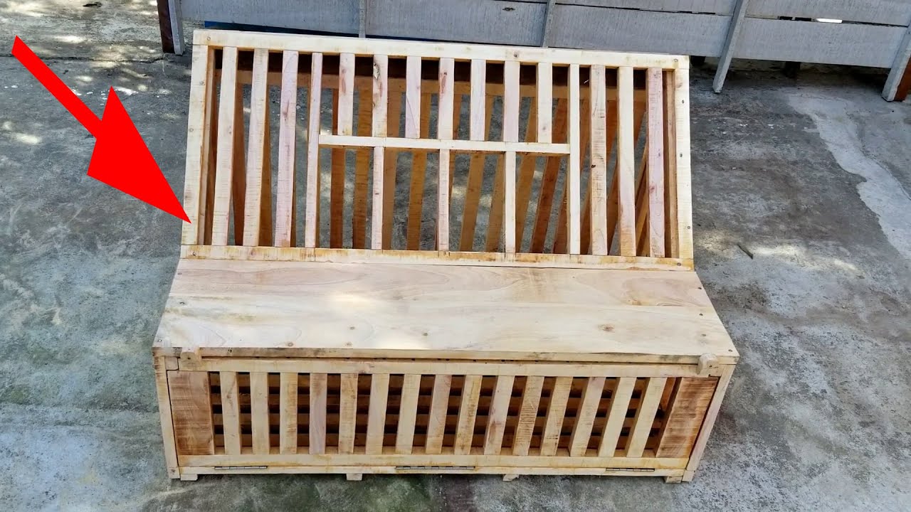 Pigeon Trap Door Dimensions | Best Trapping Systems for Racing Pigeons
