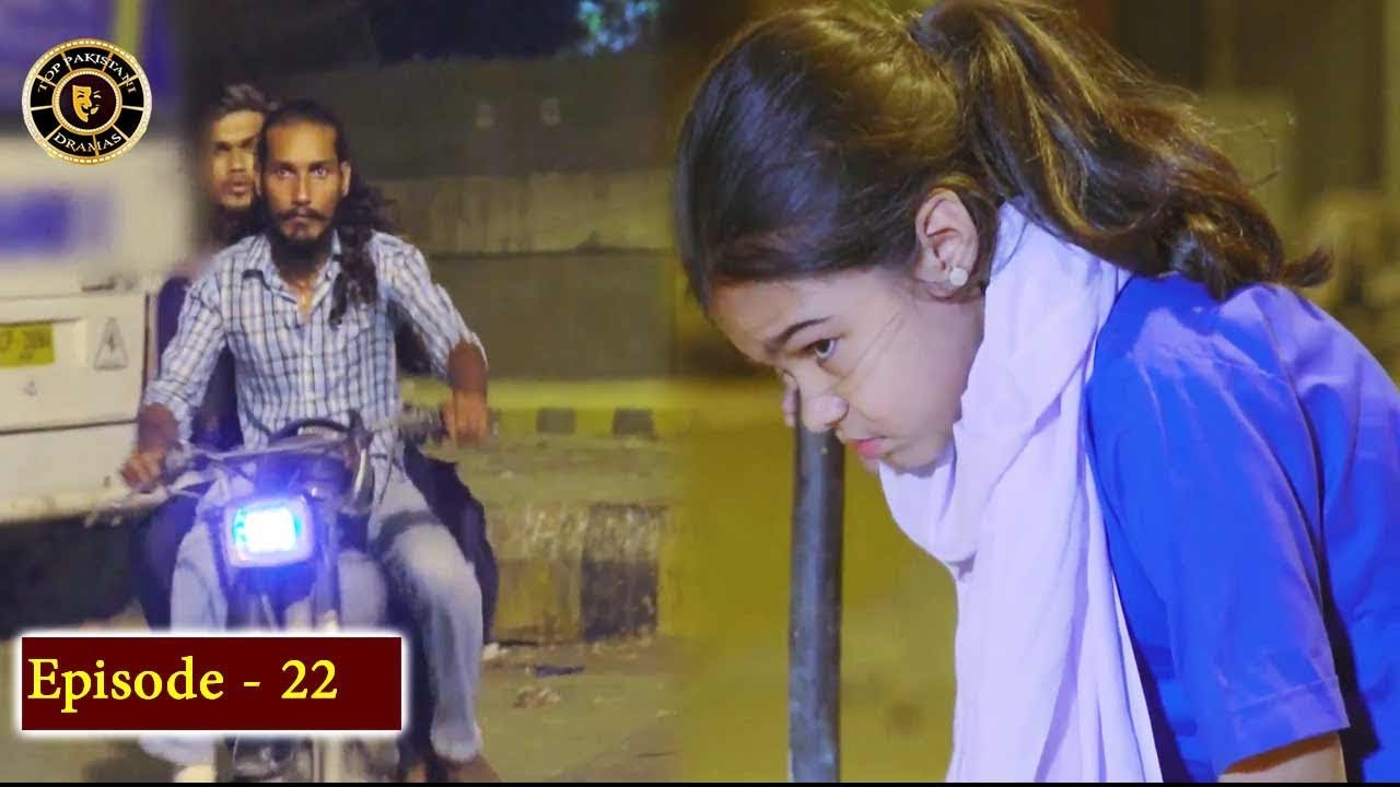 Haiwan Episode 22 - Top Pakistani Drama