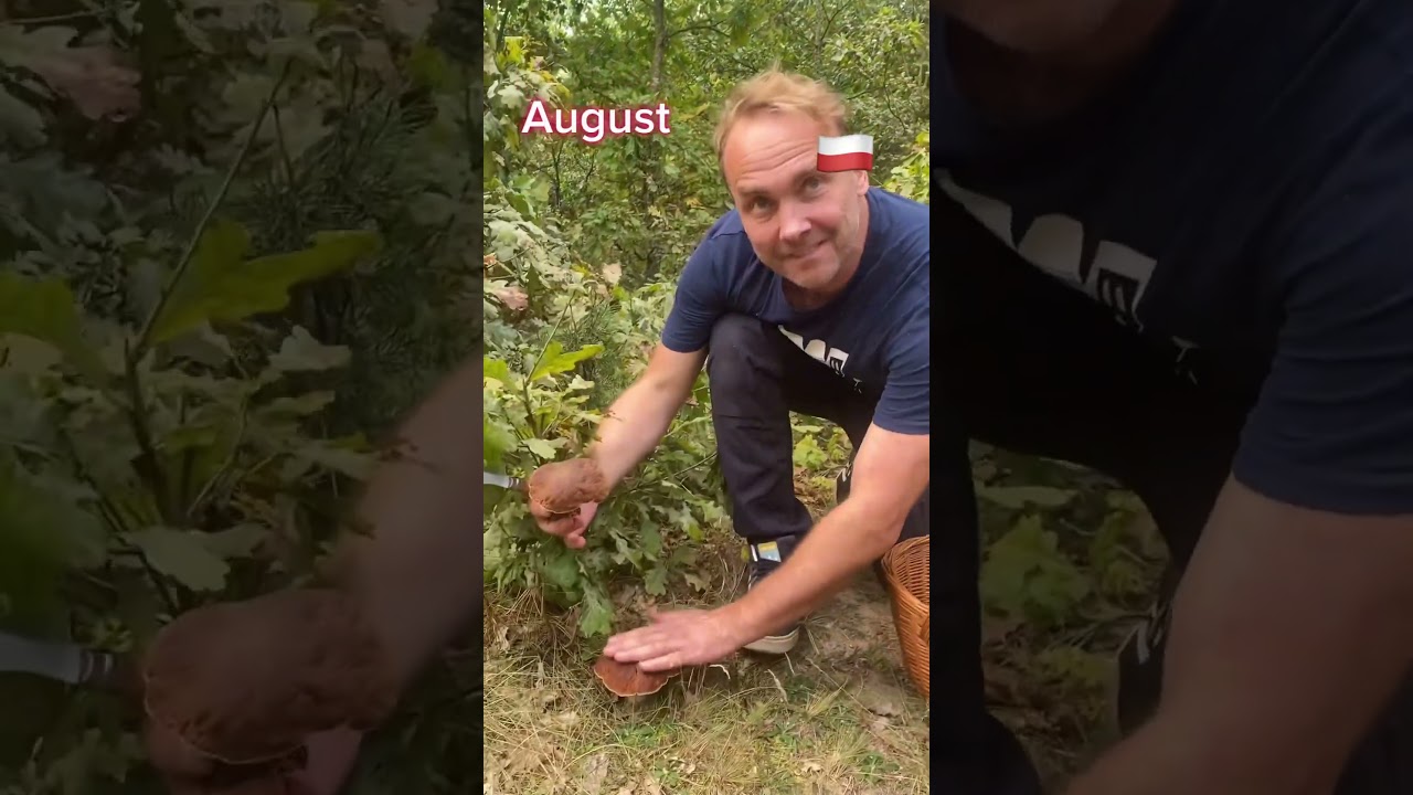 Zapraszam na moje filmy i Grzybowe Podr&oacute;że. Grzyby 2024. #shorts #boletus #asmr #porcini #funghi