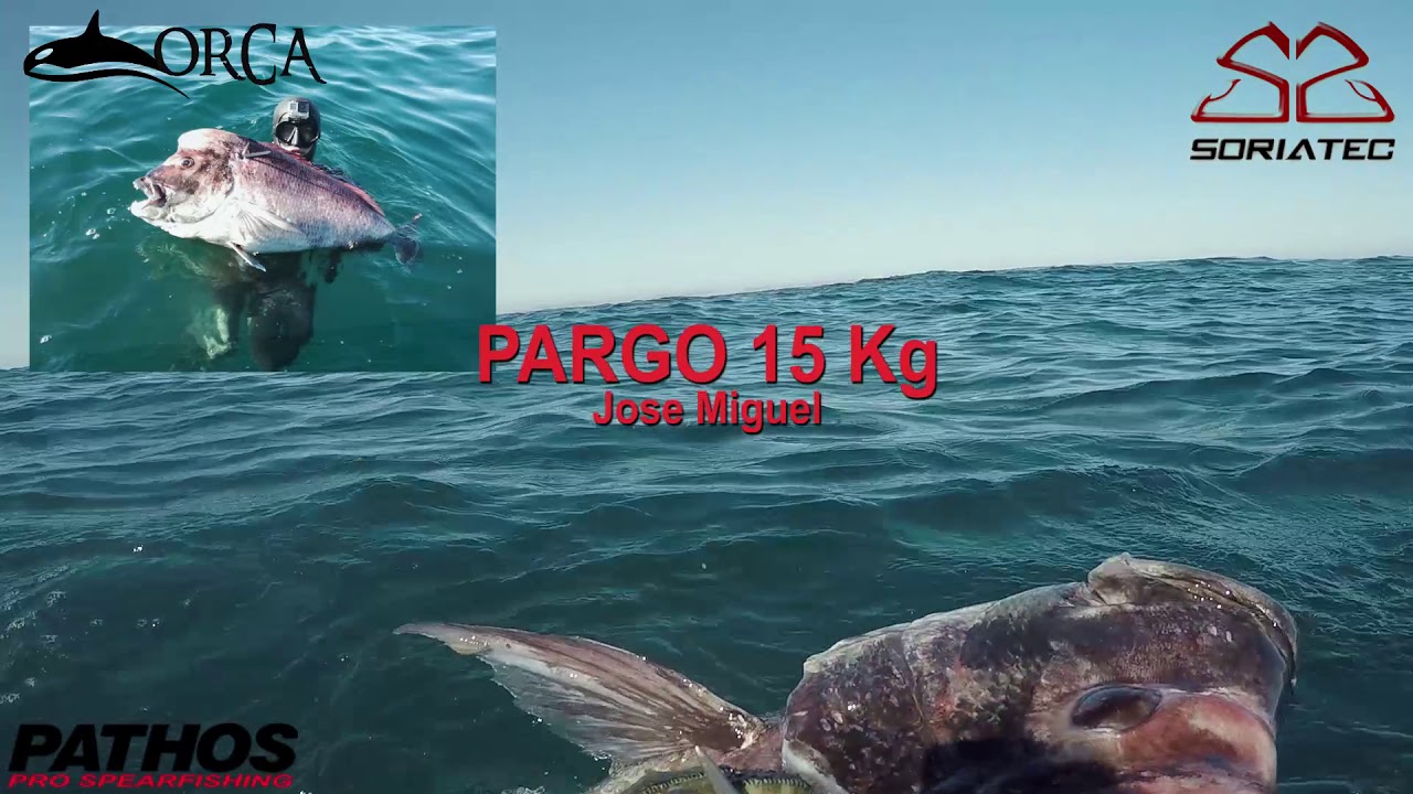 meros y pargos