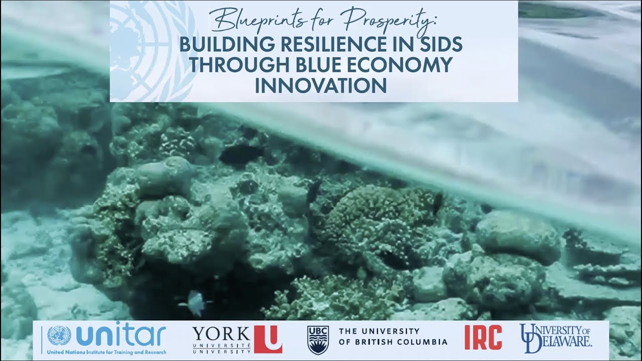 Building Resilience in SIDS Through Blue Economy Innovation