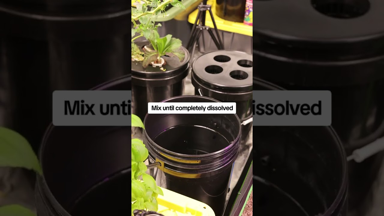 5 Gallon Mixing Hydroponics Solution us Masterblend #sustainability #hydroponics #vevor