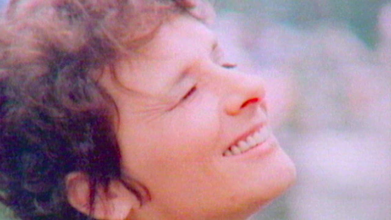 Gün Dökümü-Duygu Aykal