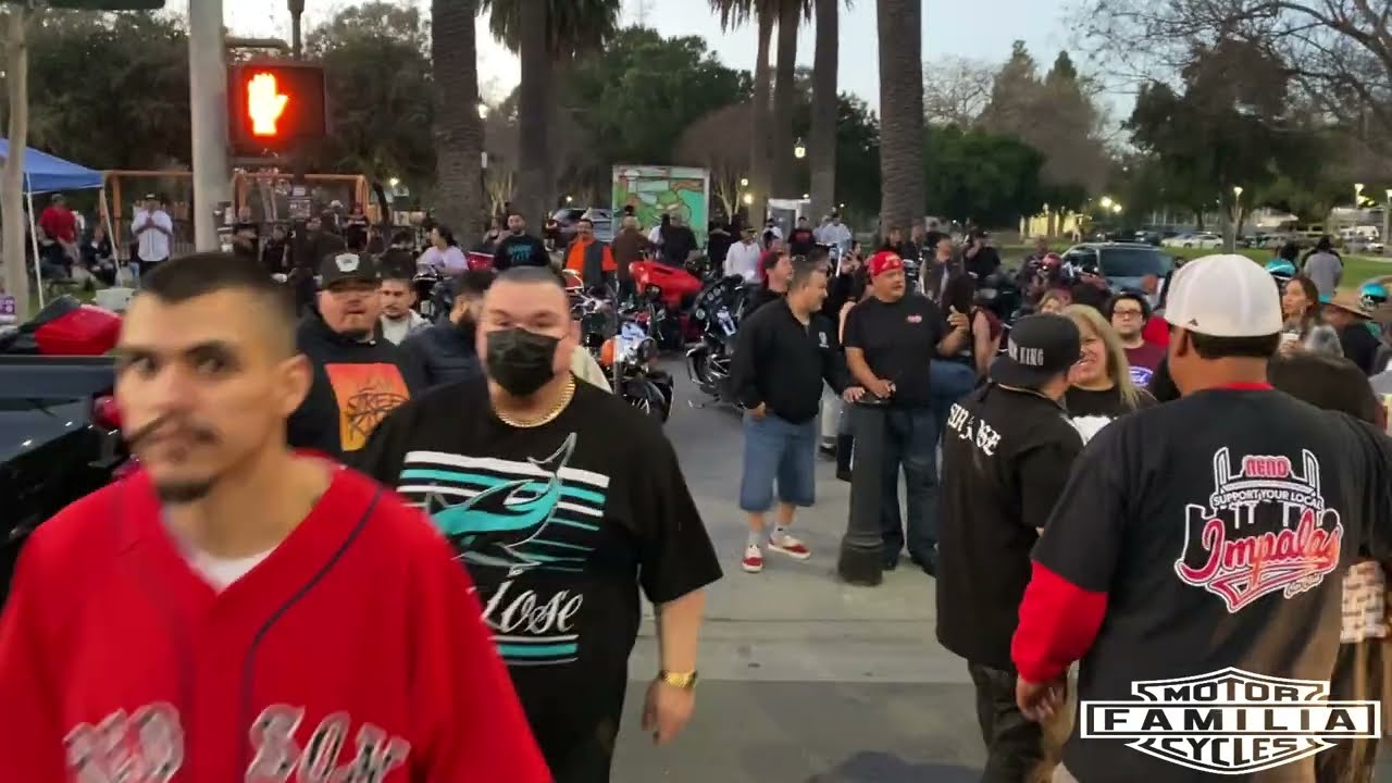 Downtown San Jose Cruise
