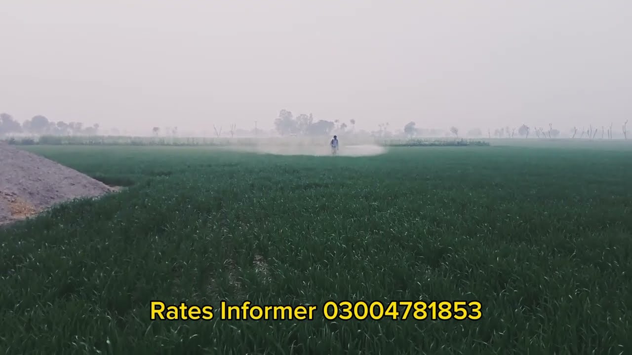 spray machine |spray karny ka tareka |village wark|rates Informer