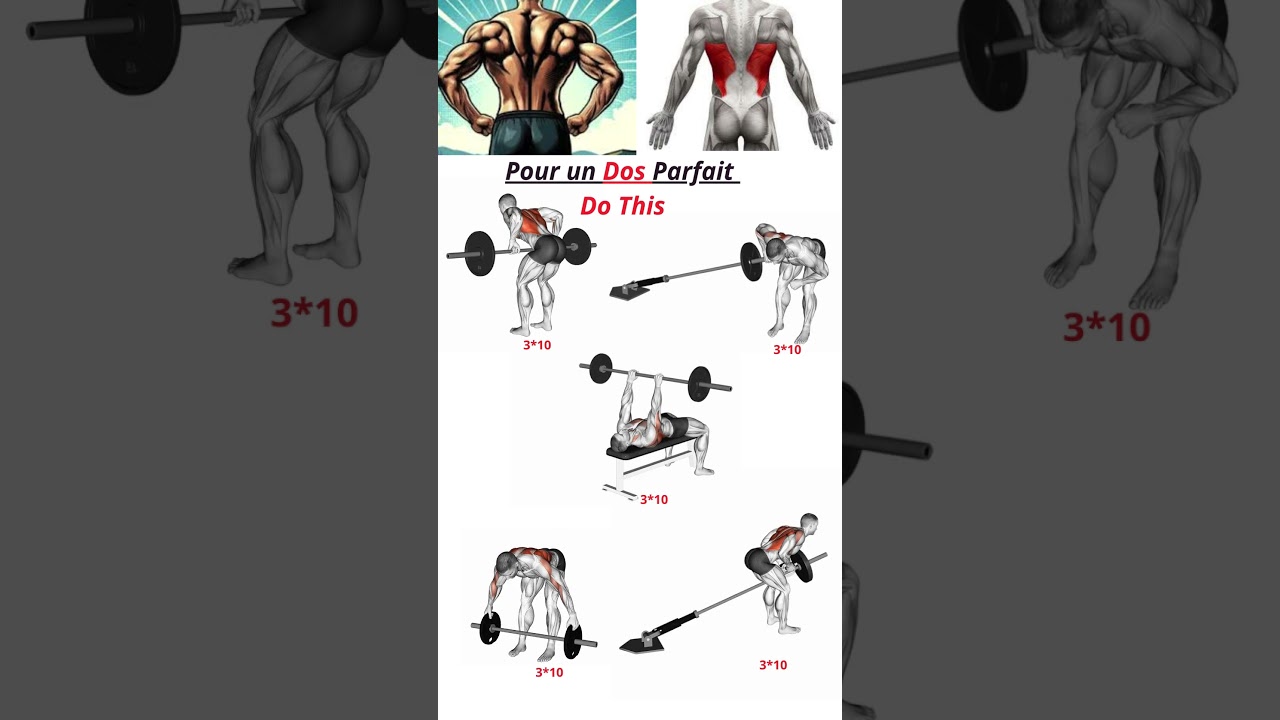 Exercices dos avec barre تمارين ظهر #musculation #sport  #sant&eacute; #motivation #gym #training #shorts