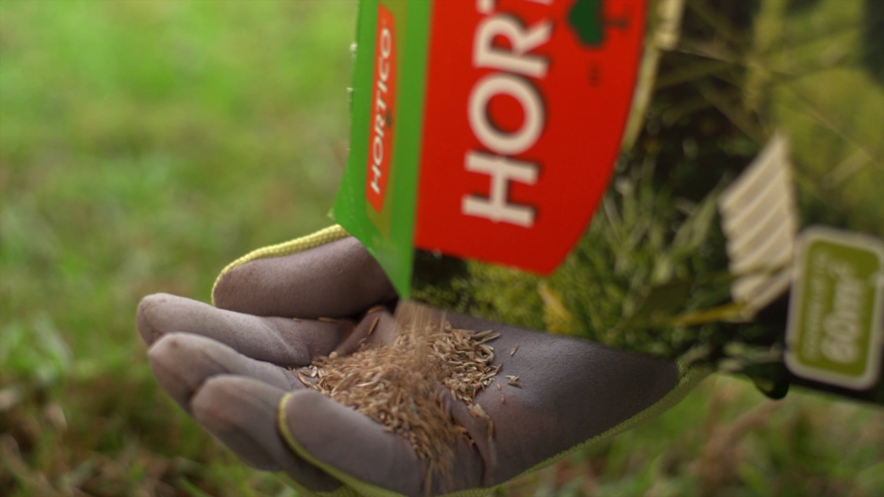 How To Fix Bare Patches In Your Lawn