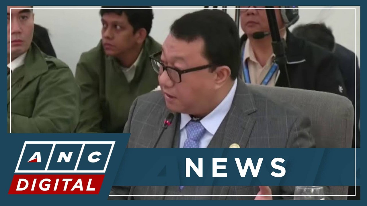 Chua: 'E di sana nakasuhan na rin ang ex-president nung idineklarang unconstitutional ang DAP' | ANC